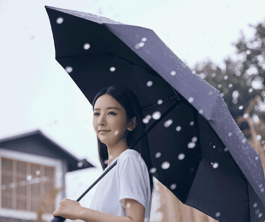 Купол зонта Xiaomi Everyday Elements Oversize Umbrella MIU001